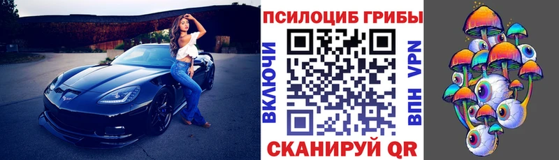 Галлюциногенные грибы Cubensis  где купить наркоту  Агидель 